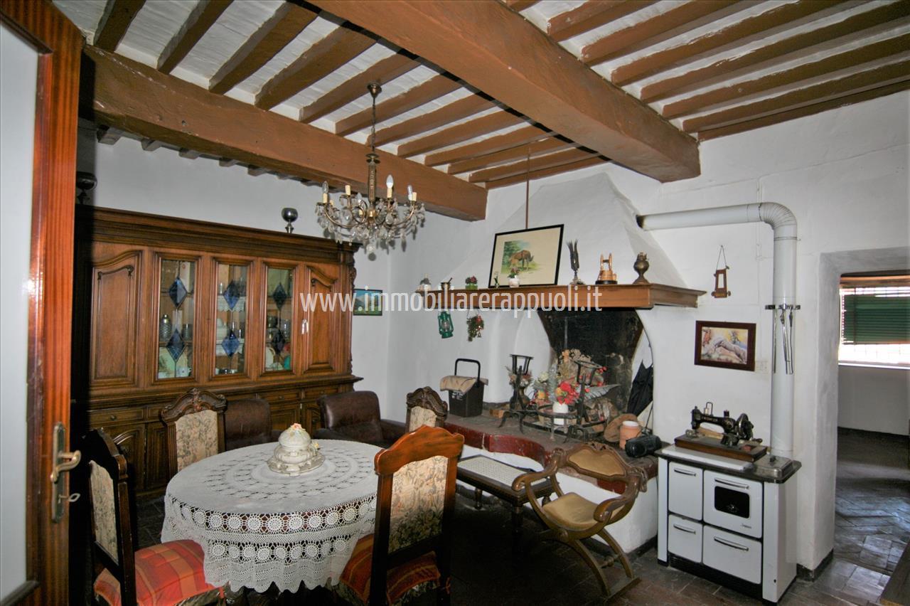 immagine annuncio 11 di 14