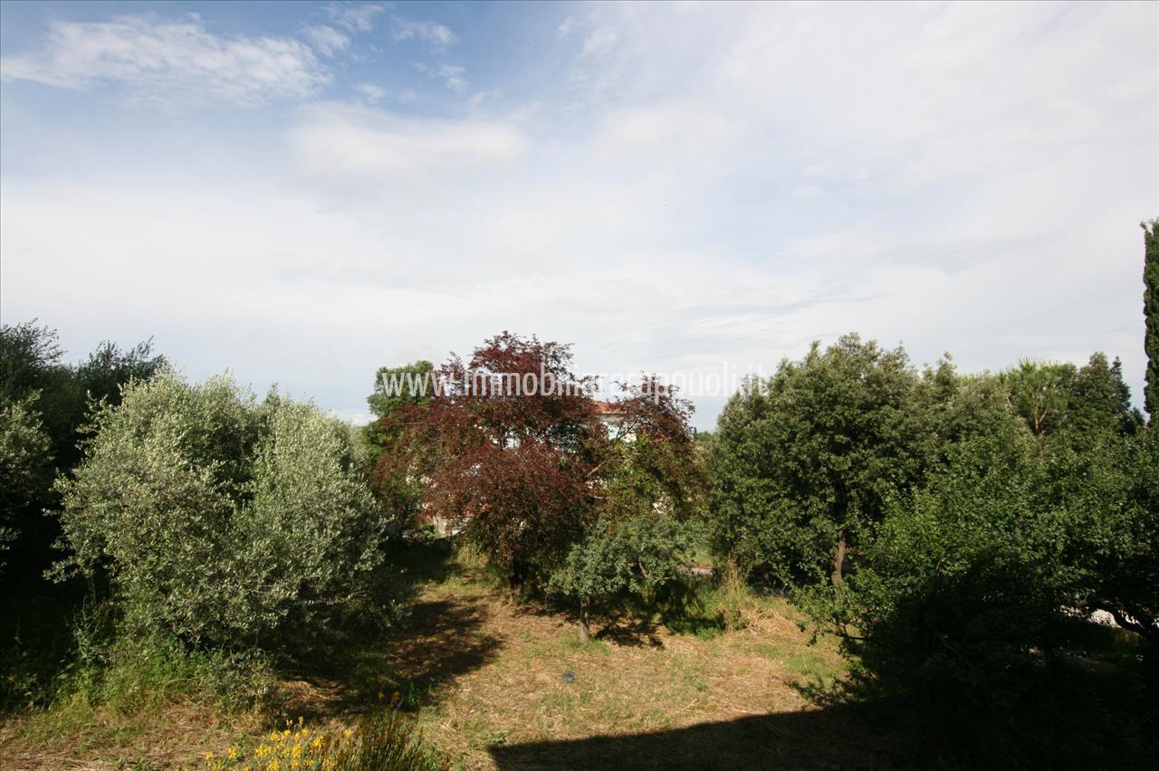 immagine annuncio 6 di 13
