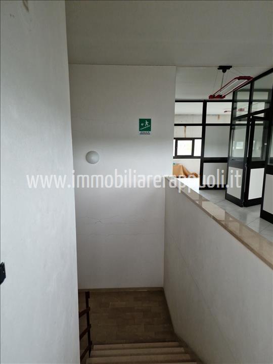 Capannone in , Sinalunga, {3} - Foto 2