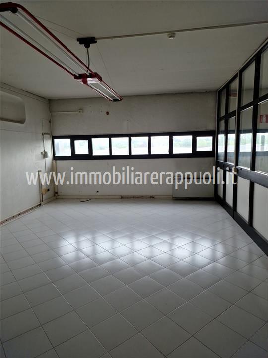 Capannone in , Sinalunga, {3} - Foto 1