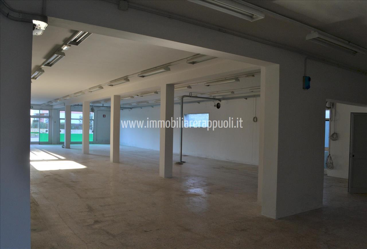 Esercizio commerciale in , Torrita Di Siena, {3} - Foto 2