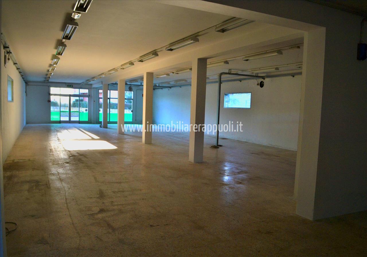Esercizio commerciale in , Torrita Di Siena, {3} - Foto 1