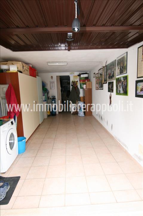 immagine annuncio 6 di 8