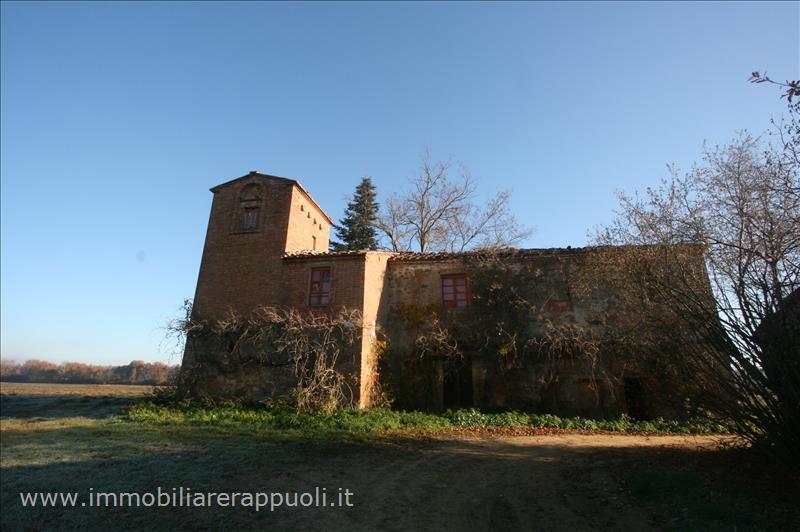 immagine annuncio 7 di 11