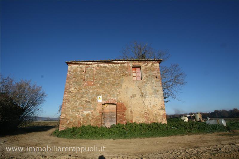 immagine annuncio 4 di 11