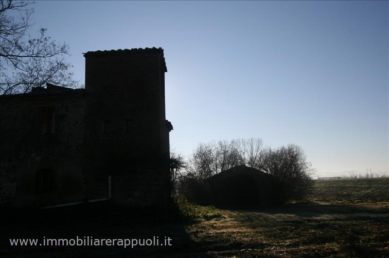 immagine annuncio 10 di 11