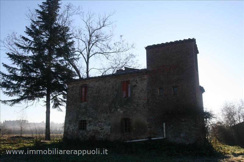immagine annuncio 9 di 11