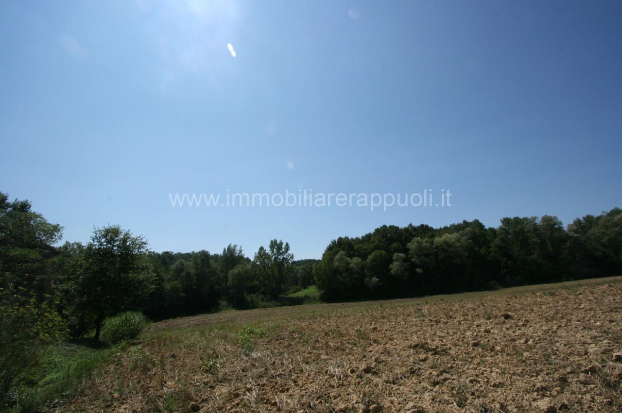 immagine annuncio 6 di 13