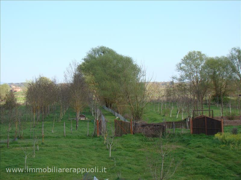 immagine annuncio 7 di 11