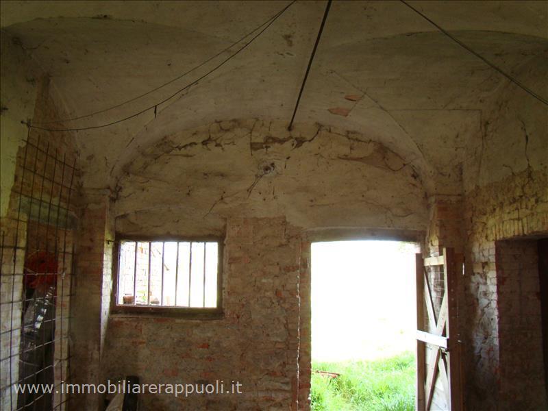 immagine annuncio 10 di 11