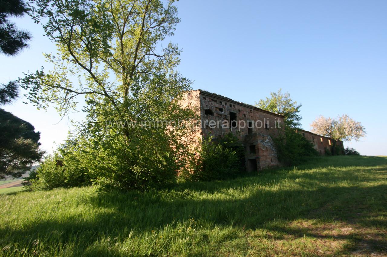 immagine annuncio 5 di 8