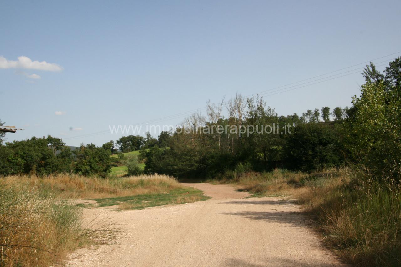 immagine annuncio 8 di 14