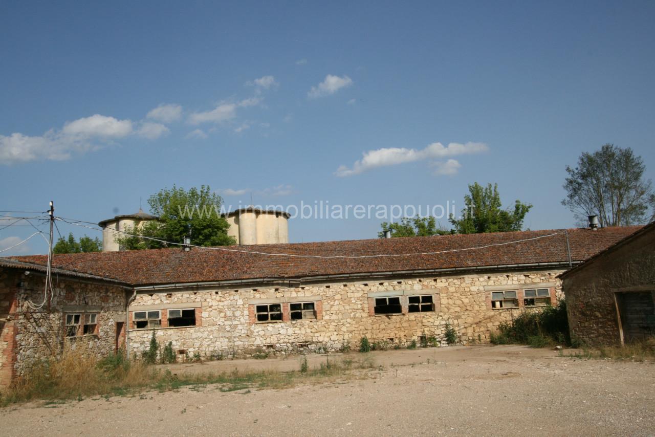 immagine annuncio 6 di 14
