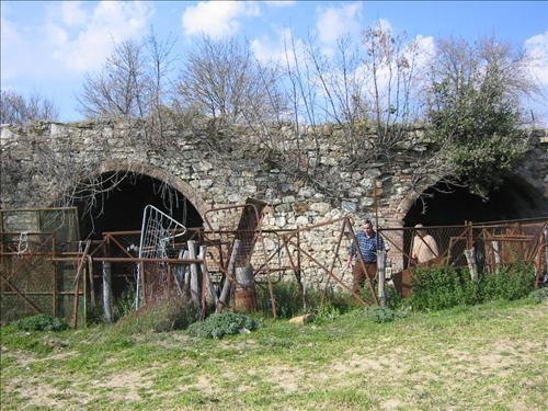 immagine annuncio 2 di 9