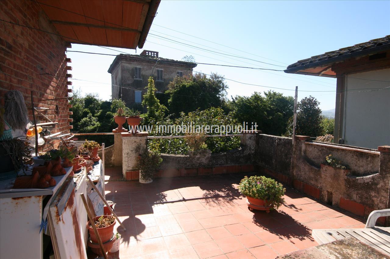 immagine annuncio 3 di 14