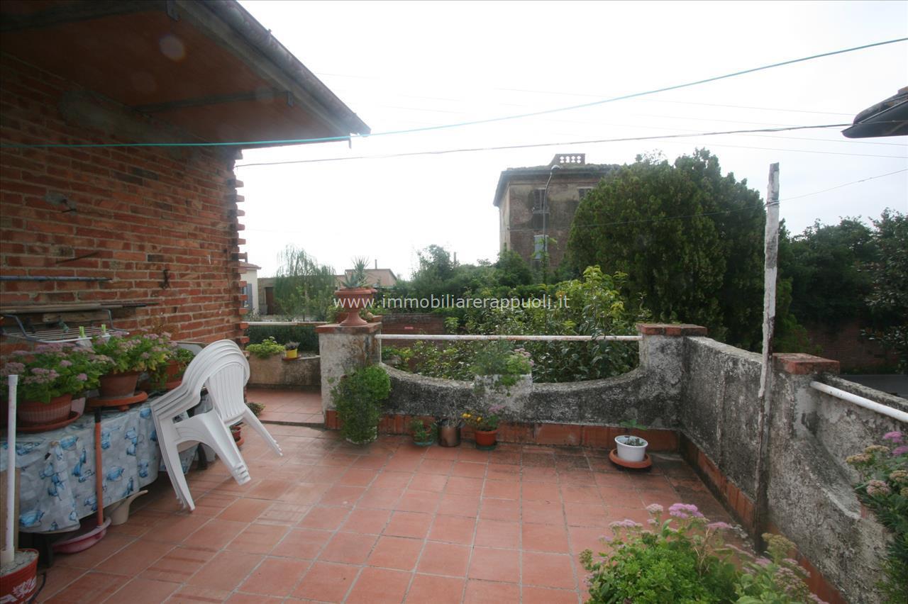 immagine annuncio 10 di 14
