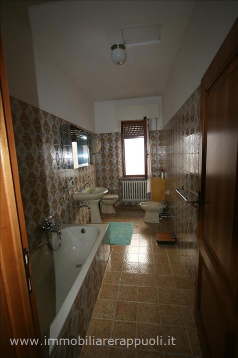 immagine annuncio 10 di 12