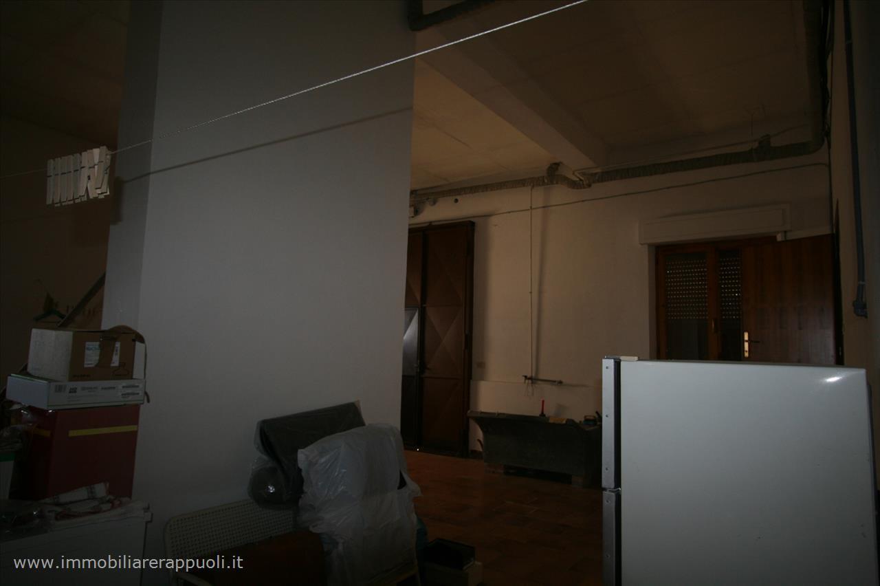 immagine annuncio 5 di 12