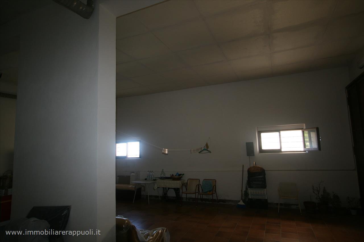 immagine annuncio 6 di 12