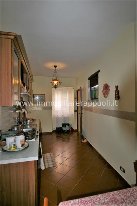 immagine annuncio 7 di 14