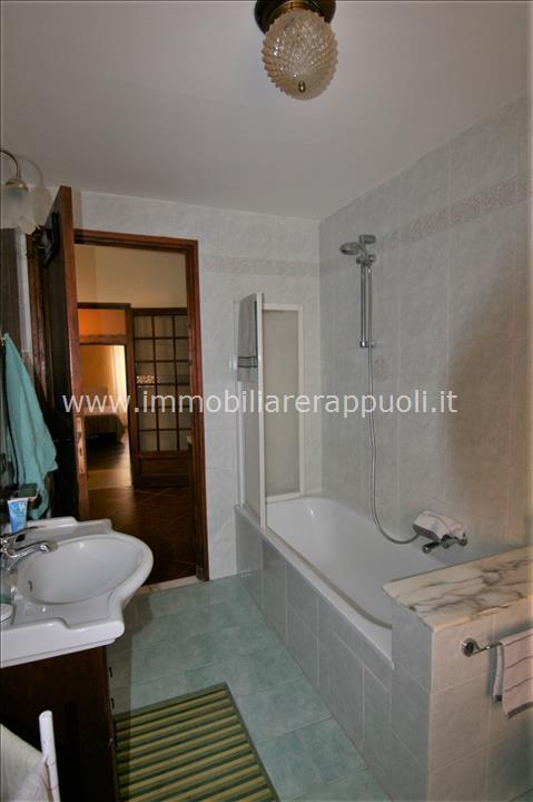immagine annuncio 10 di 14