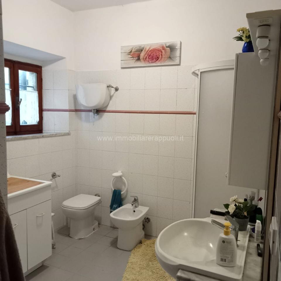 immagine annuncio 5 di 14