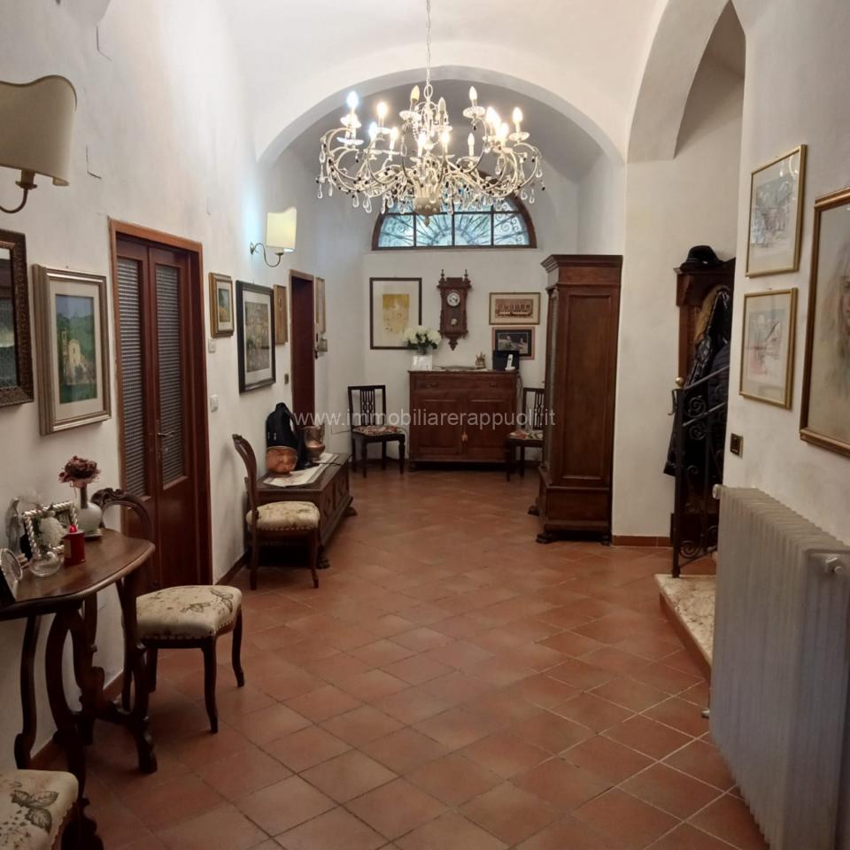 immagine annuncio 2 di 14