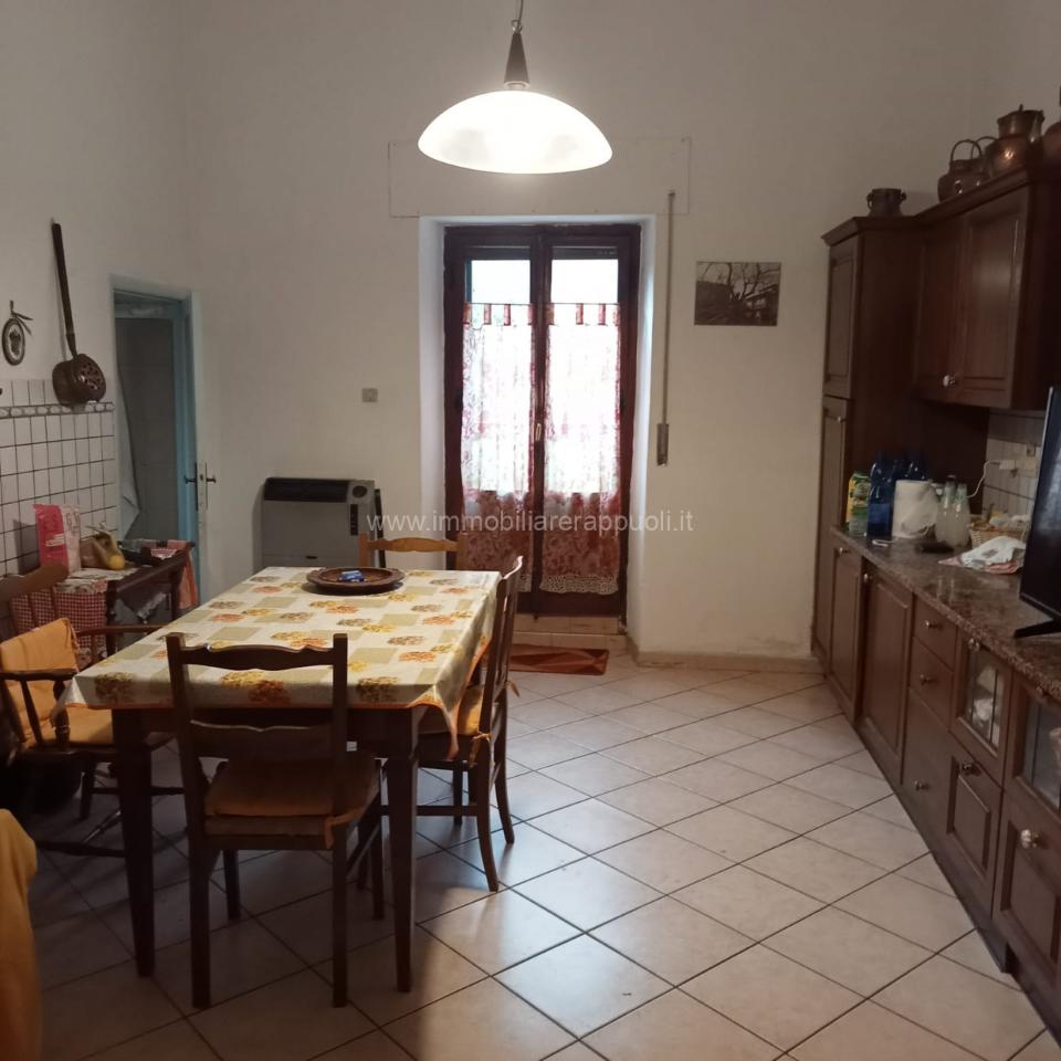 immagine annuncio 6 di 14