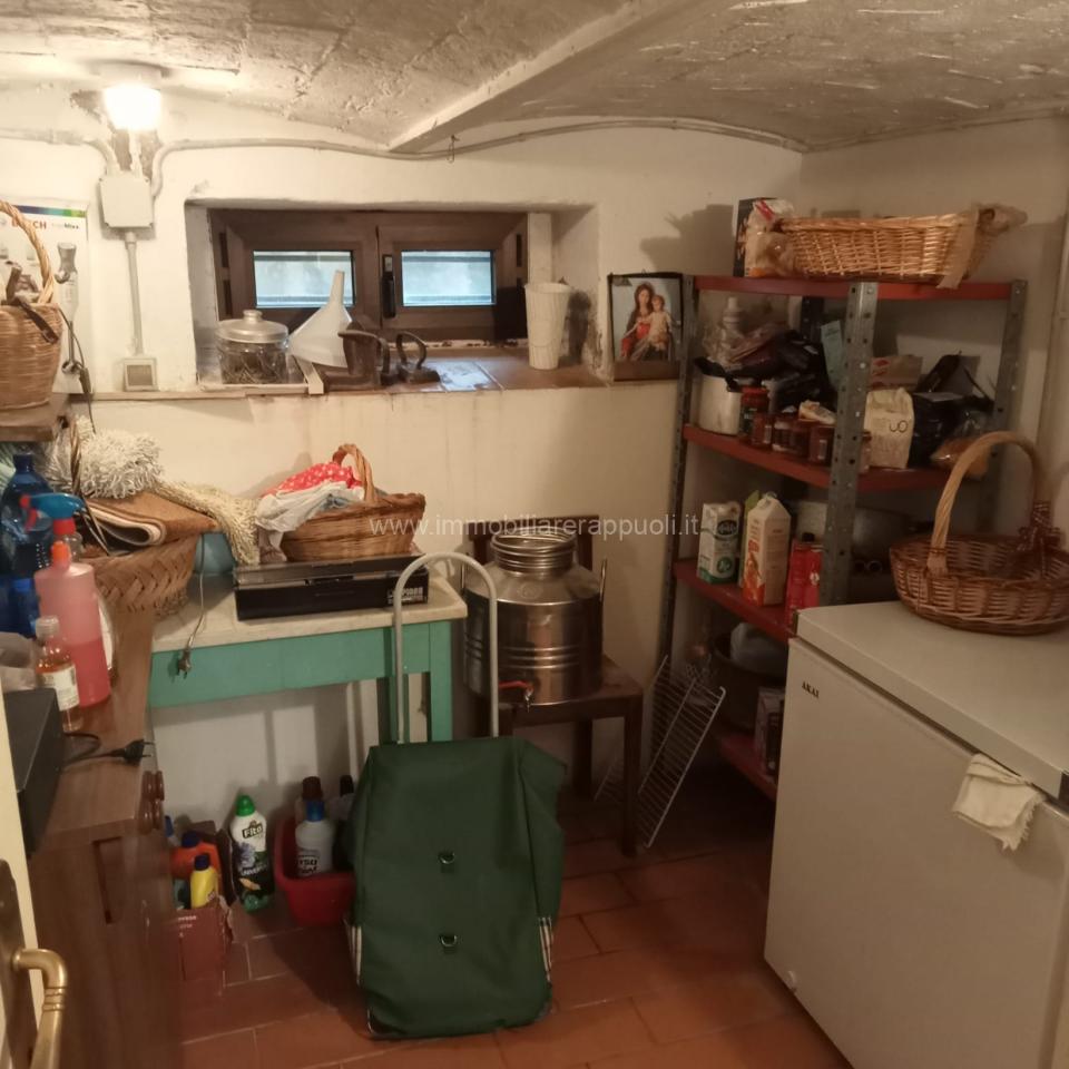 immagine annuncio 4 di 14