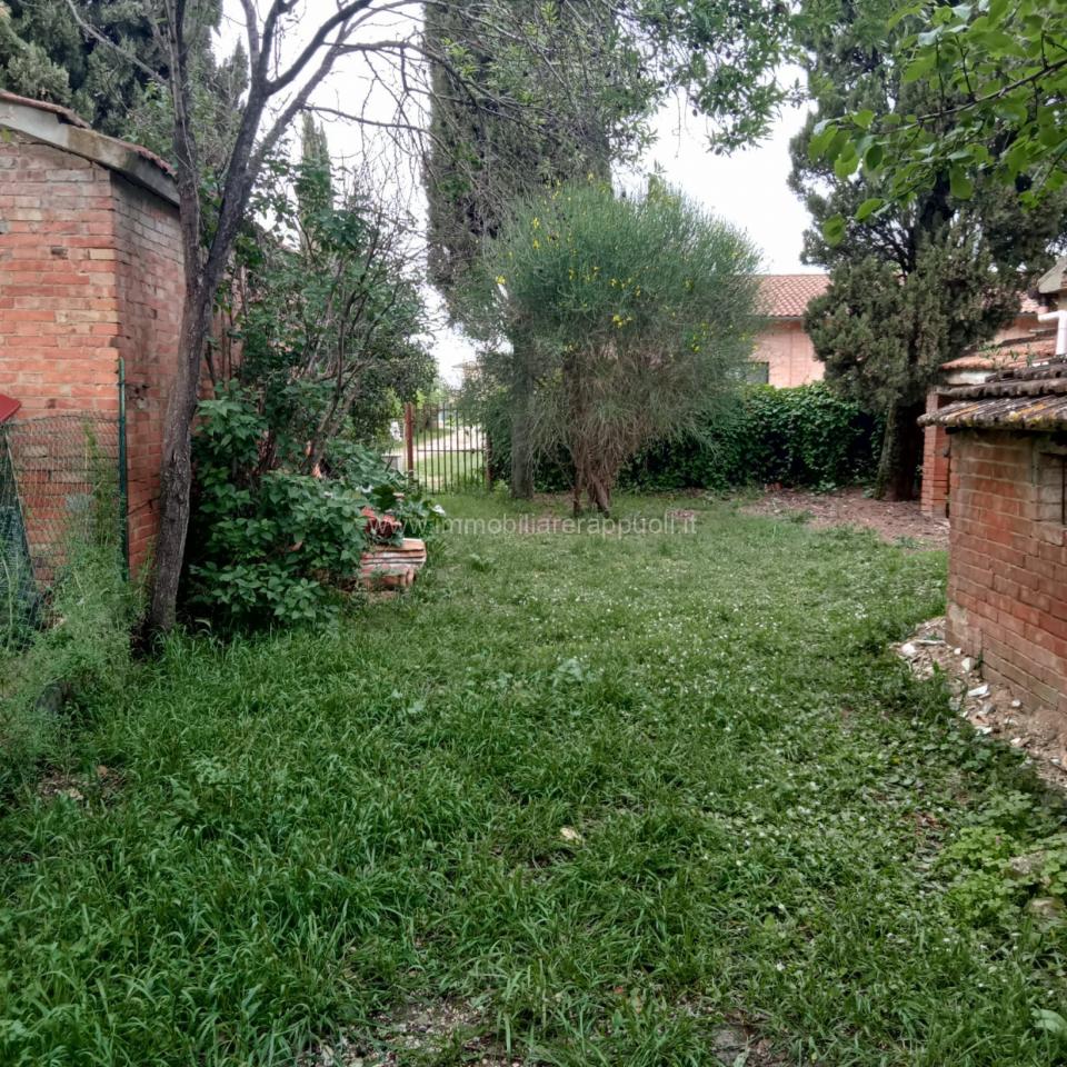 immagine annuncio 1 di 14