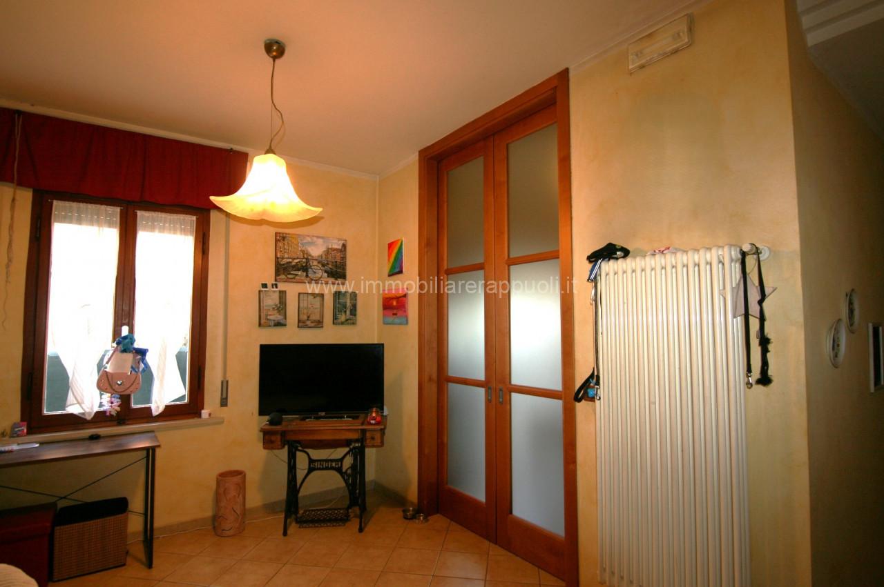 immagine annuncio 1 di 15