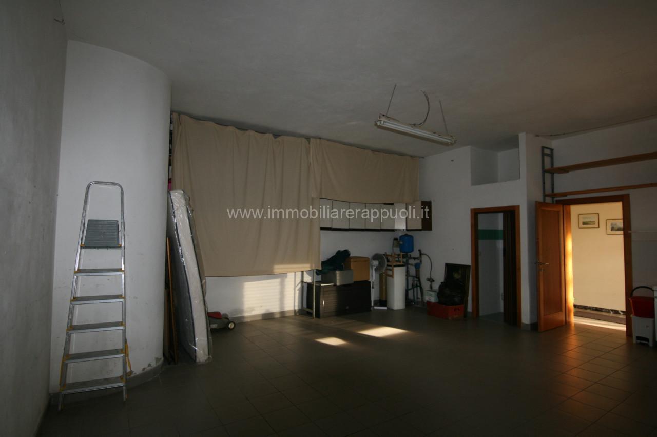 immagine annuncio 12 di 13