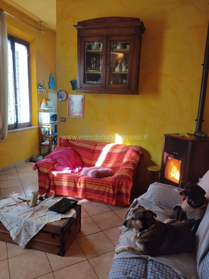 immagine annuncio 2 di 12