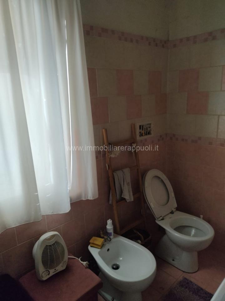 immagine annuncio 7 di 12