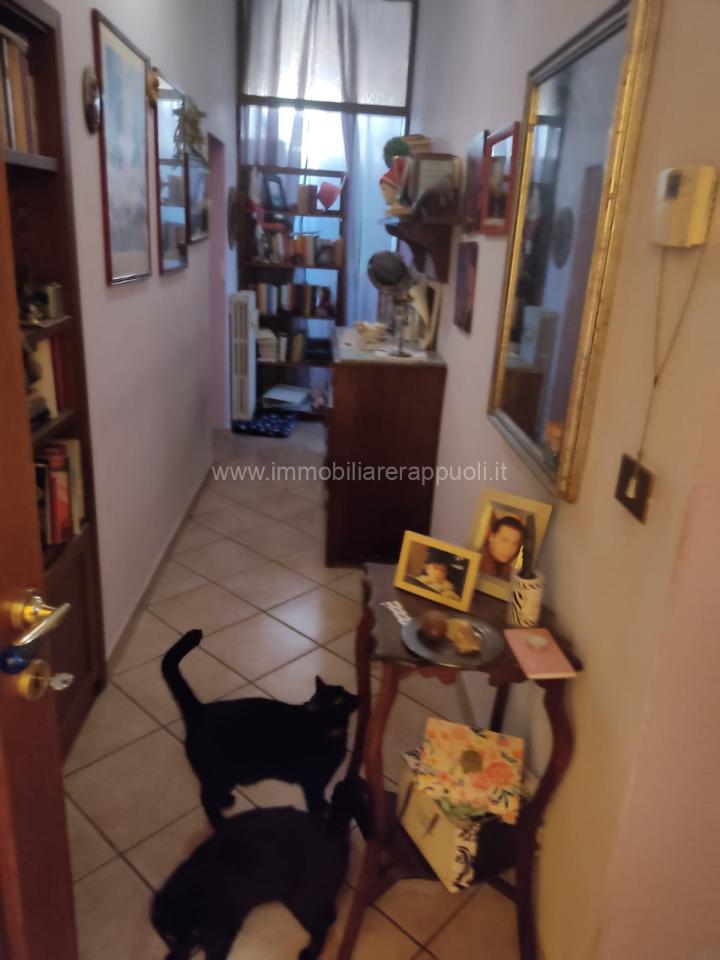 immagine annuncio 10 di 12