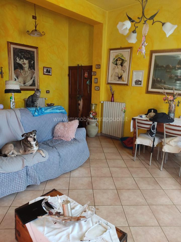 immagine annuncio 5 di 15