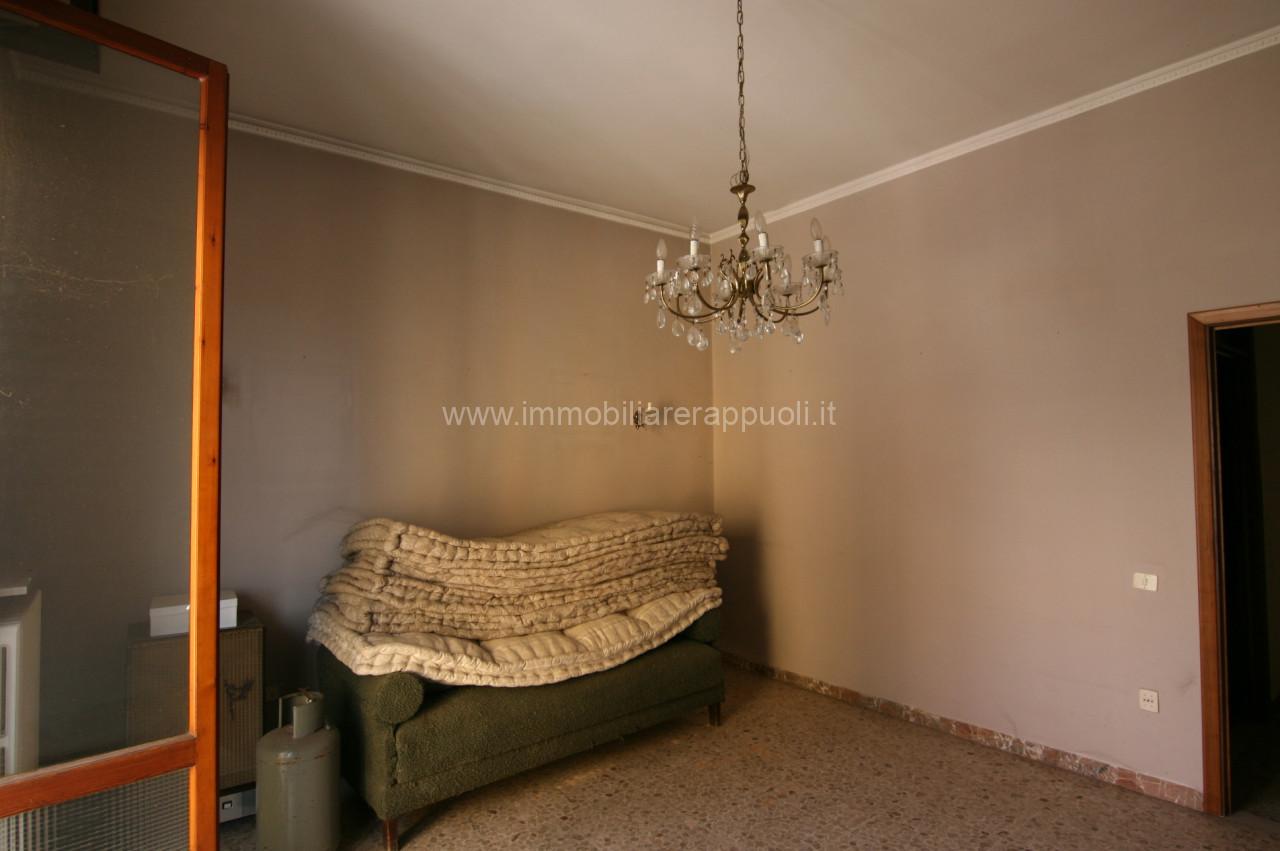 immagine annuncio 5 di 8