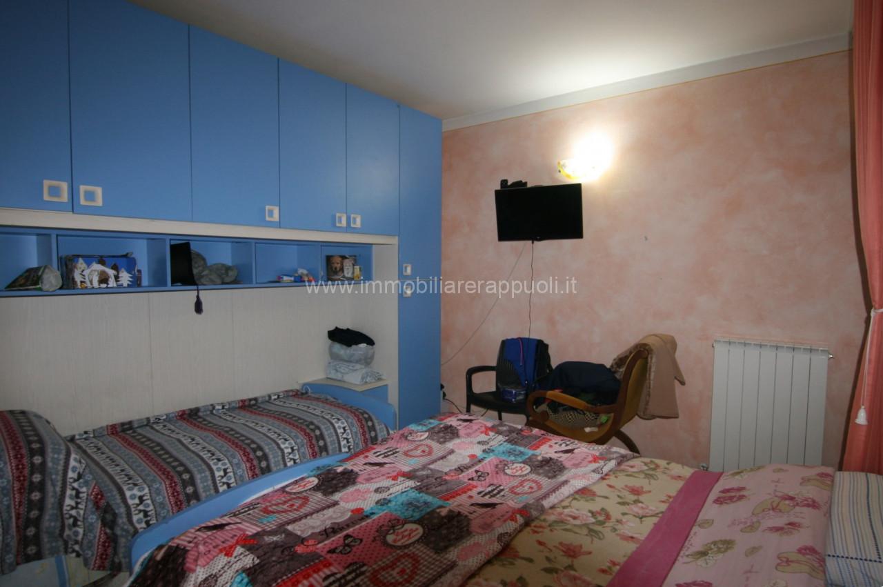 immagine annuncio 6 di 14