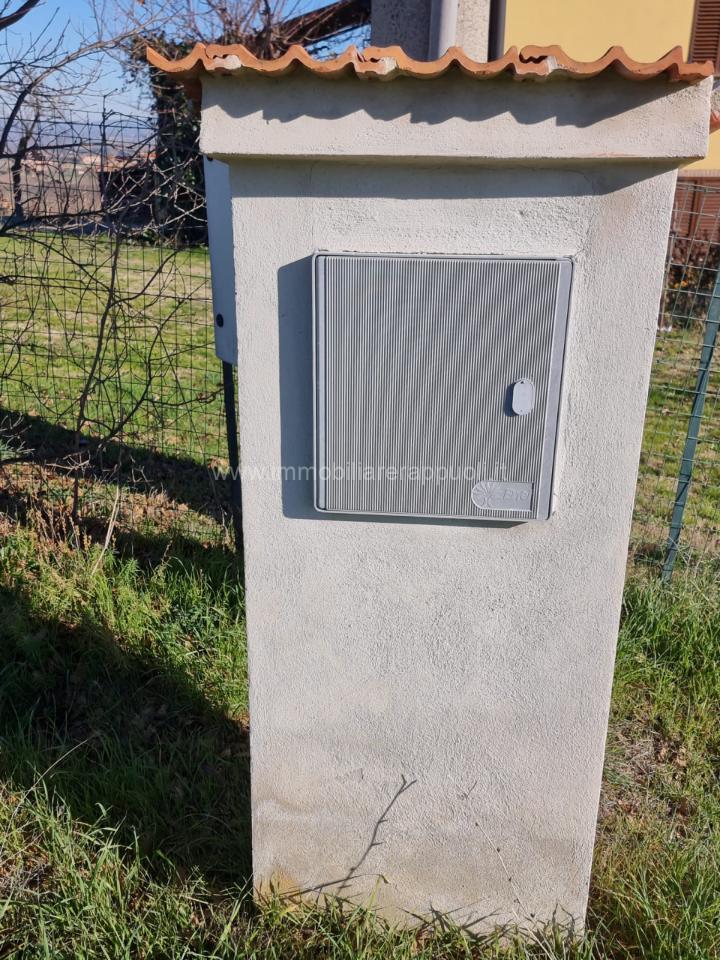 immagine annuncio 6 di 8