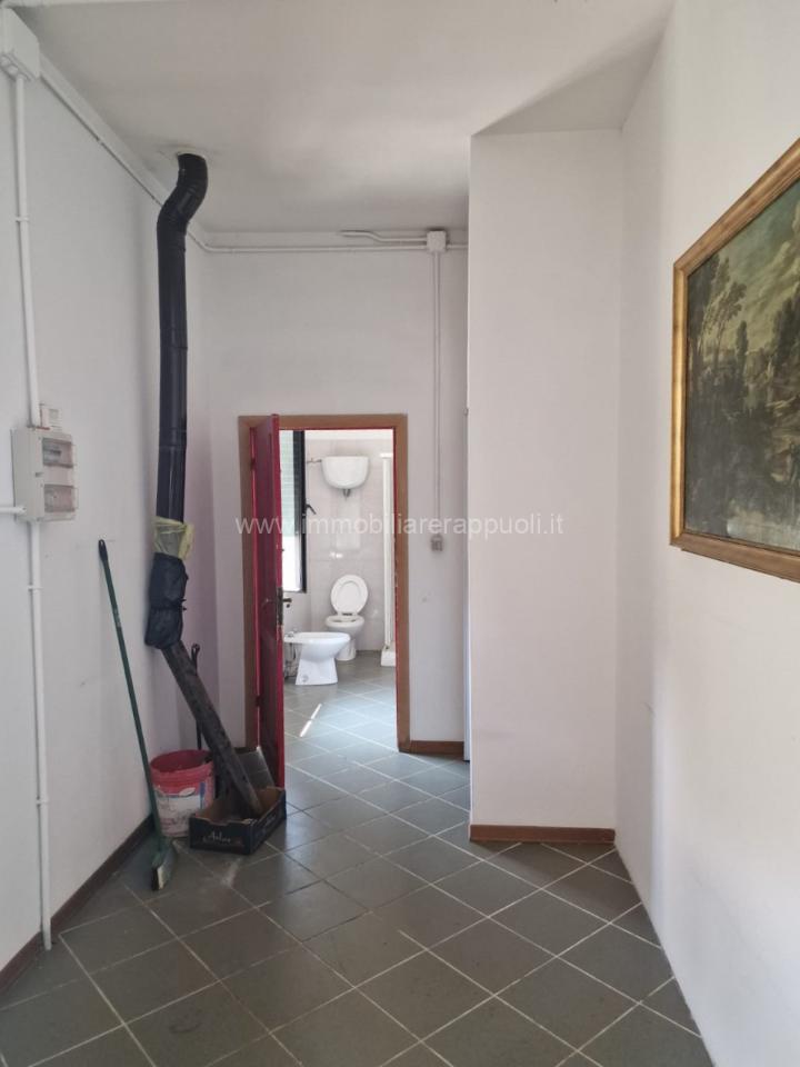 immagine annuncio 6 di 13