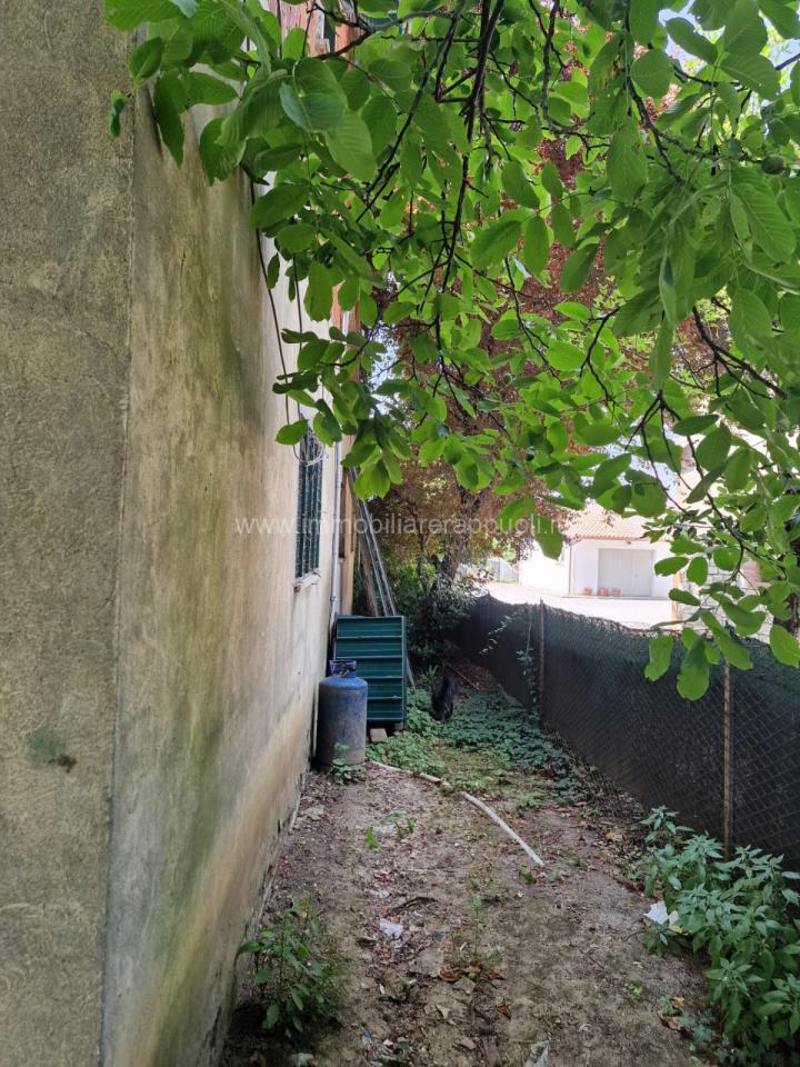 immagine annuncio 2 di 13