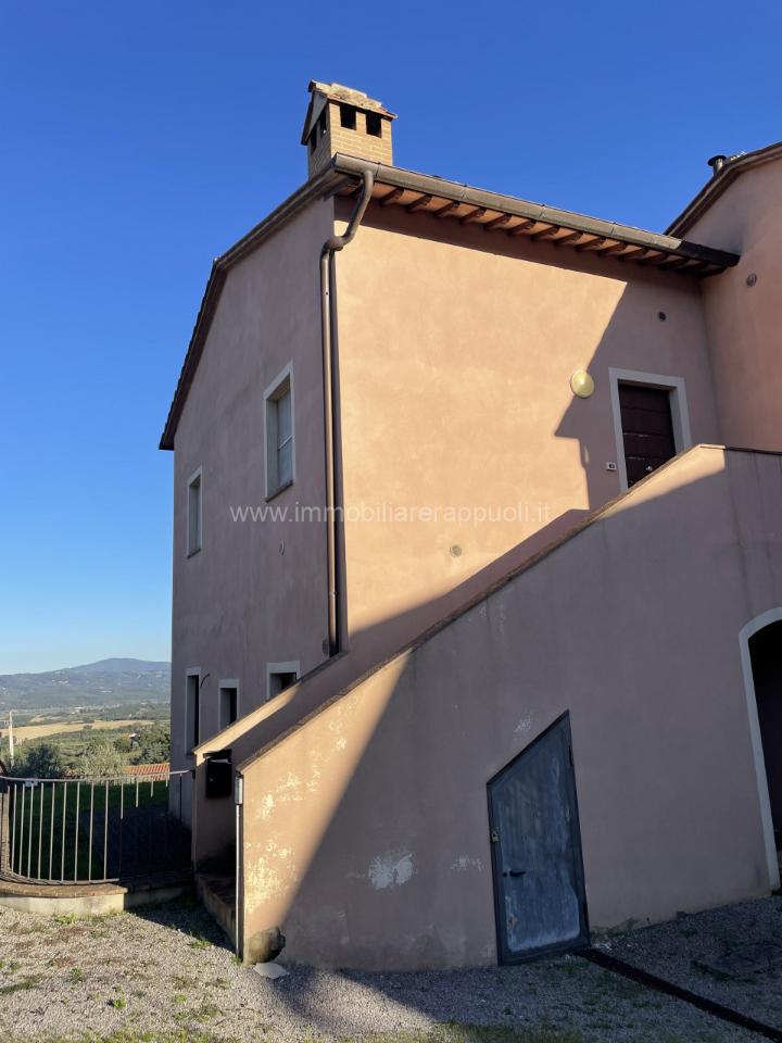 immagine annuncio 6 di 9