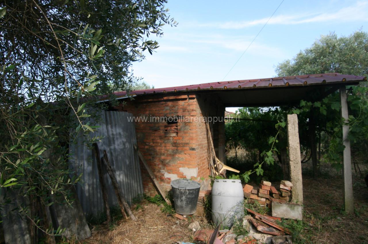 immagine annuncio 6 di 11