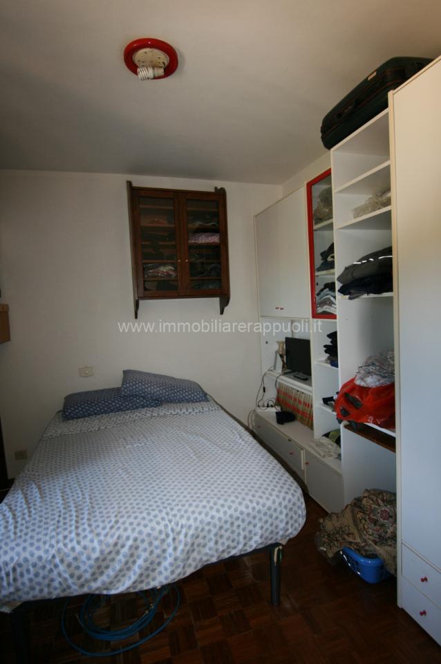 immagine annuncio 6 di 11