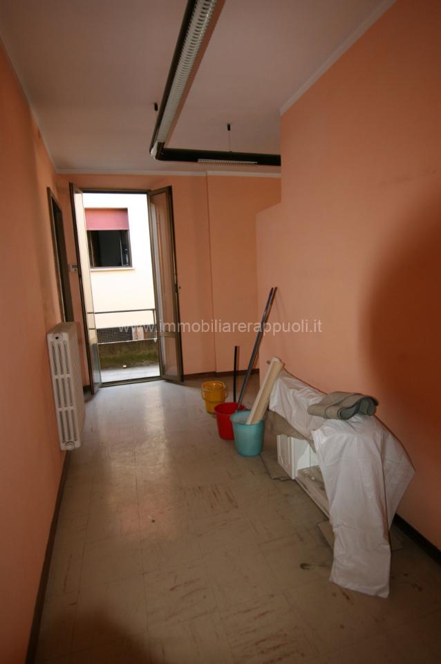 immagine annuncio 3 di 12