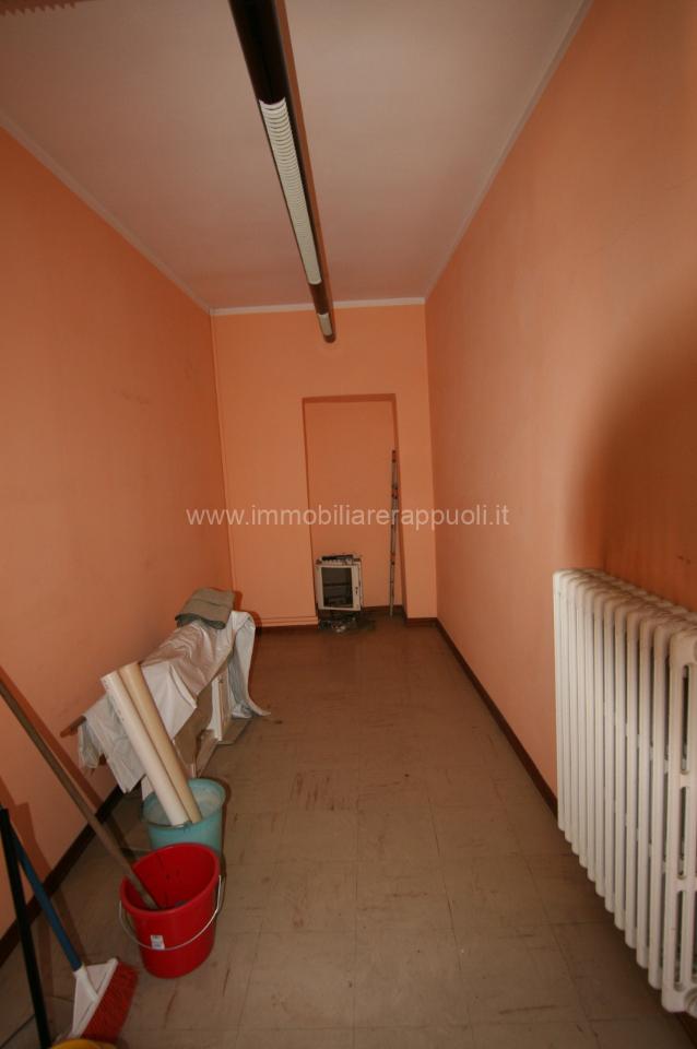 immagine annuncio 2 di 12