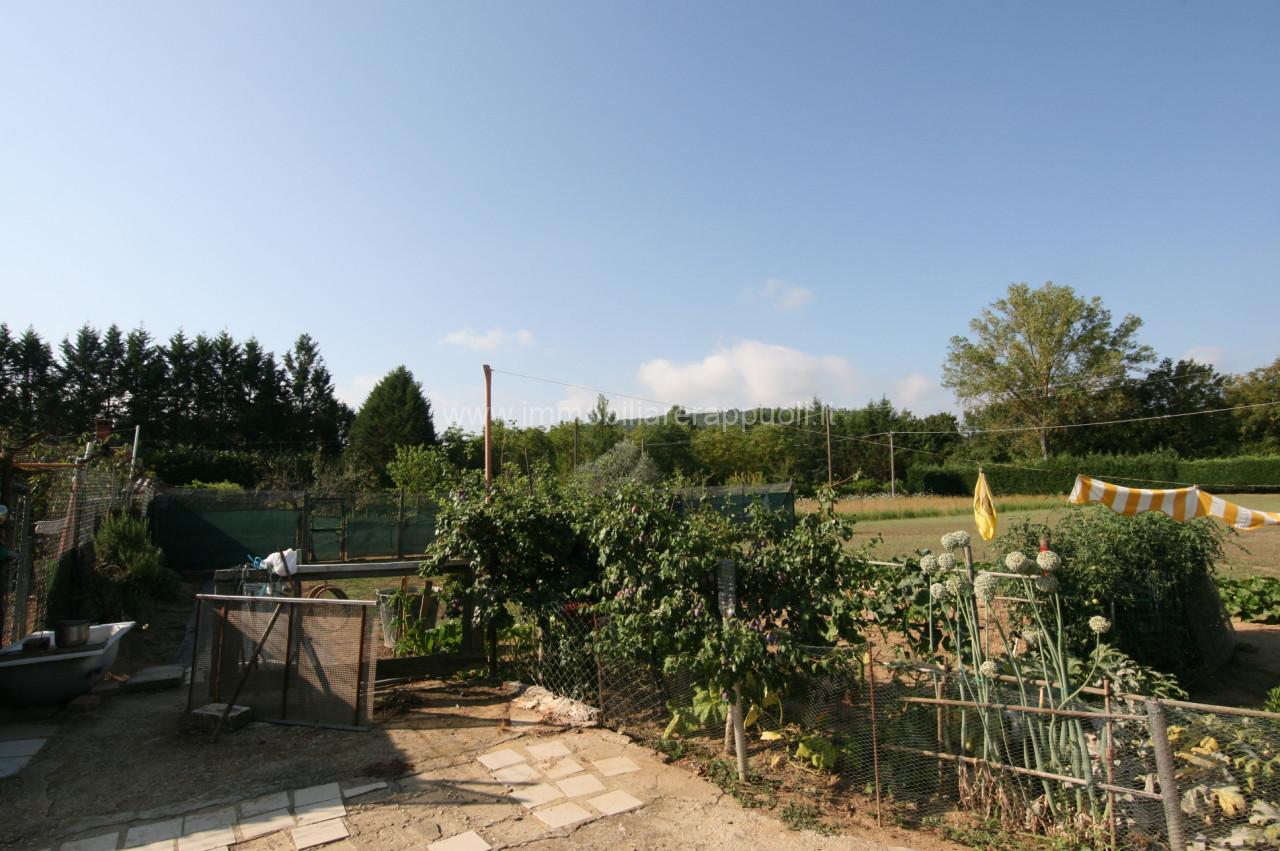 immagine annuncio 5 di 8