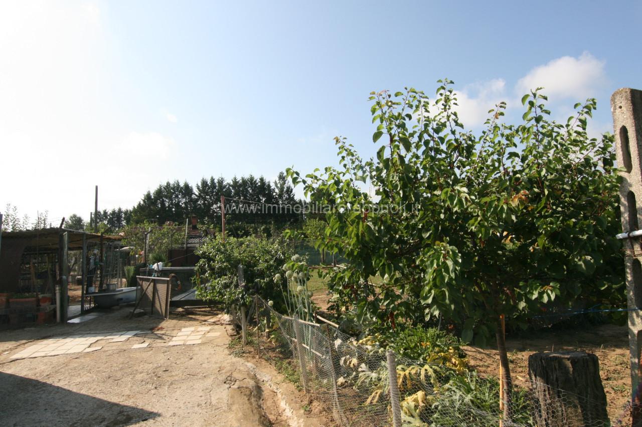 immagine annuncio 7 di 8