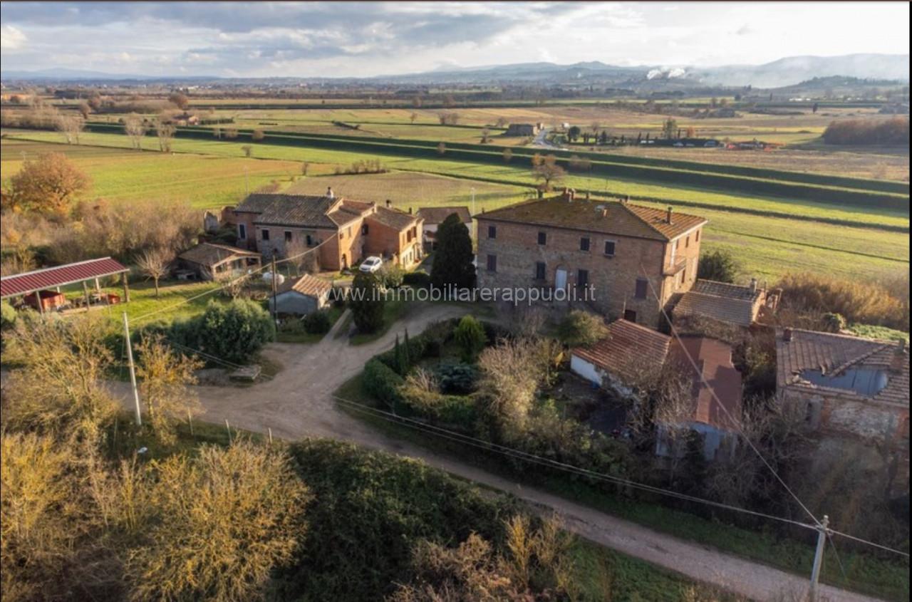 immagine annuncio 5 di 6