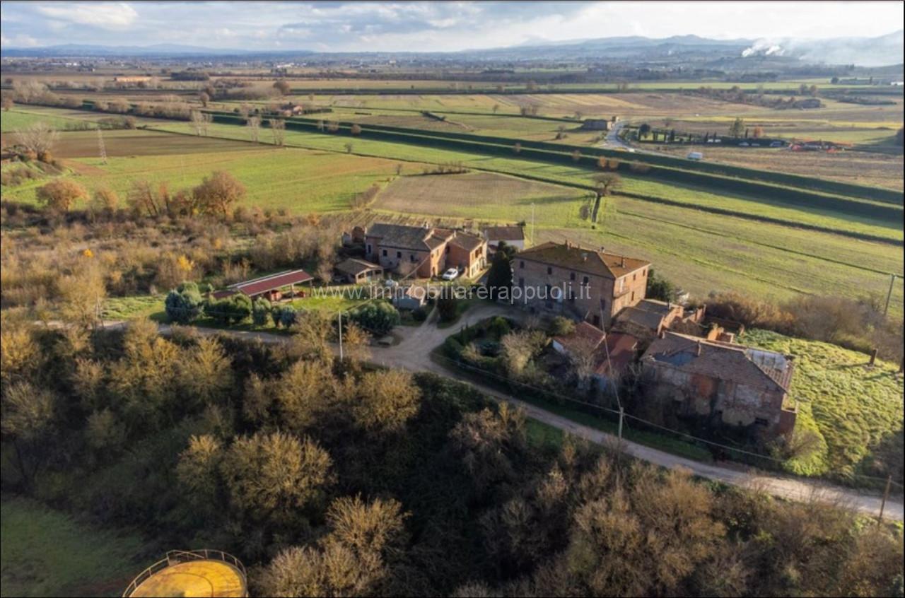 immagine annuncio 4 di 6